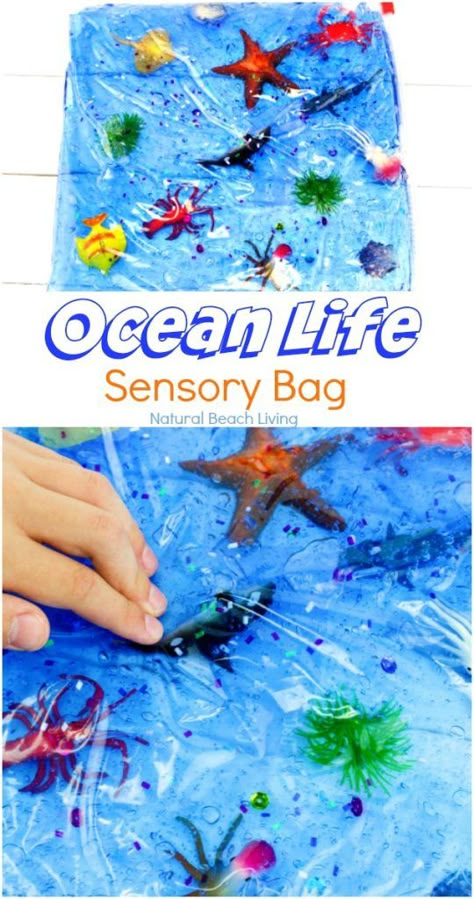 Ocean Sensory, Science Table, Ocean Theme Preschool, Under The Sea Crafts, Sea Activities, Sensory Bag, Sensory Bags, Ocean Science, Toddler Classroom