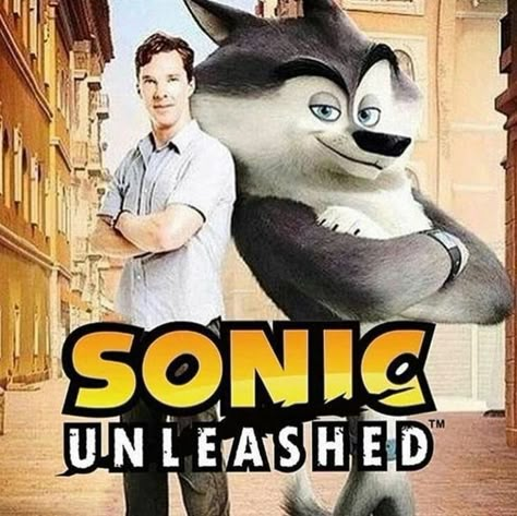 Funny Sonic Memes Funny, Sonic Meme, Sonic Unleashed, Hedgehog Movie, Sonic Funny, Sonic 3, Sonic And Friends, Sonic Fan Art, Sonic Art