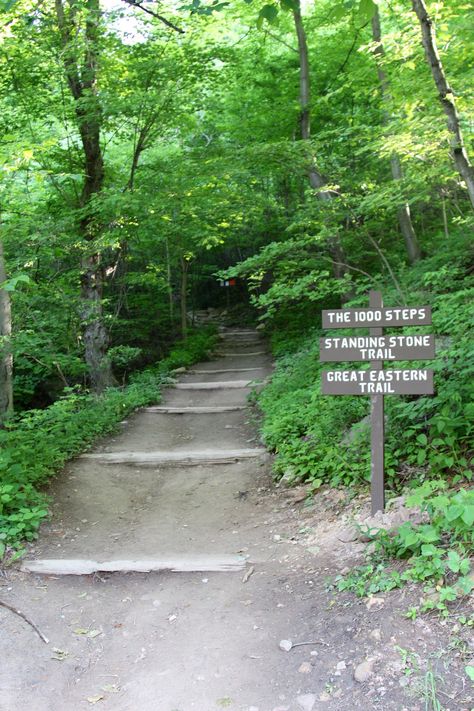 Here Are The Five Best Hikes In Pennsylvania Pennsylvania Hikes, Pennsylvania Waterfalls, Hiking Usa, Pennsylvania History, Hiking Places, Pennsylvania Travel, Nature Trails, Hiking Essentials, Hiking Spots