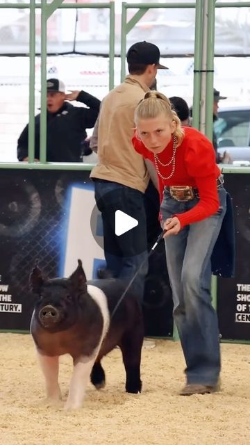 Dadson Farms Show Pigs on Instagram: "Krew and Karis at The Revival Livestock Show! #showpigs #pigshow #hogshowman" Livestock Show Outfits Pigs, Pig Show Outfits, Livestock Show Hairstyles, Livestock Outfits, Types Of Pigs, Pigs Farming Livestock, Livestock Show Outfits, Showing Pigs, Show Lambs