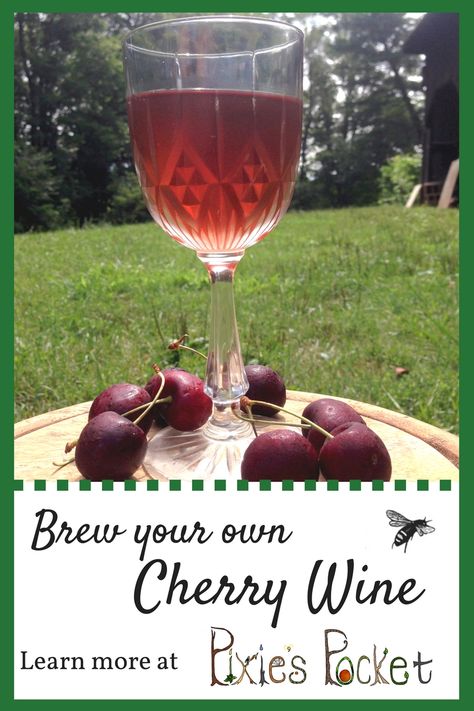 Cherries went on sale at the grocery store, so of course I had to make a batch of one gallon cherry wine. Brew up your own batch, it's easy! Cherry Cordial, Sangria Wine, Barolo Wine, Non Alcoholic Wine, Cherry Wine, Spanish Wine, Italy Wine, Wine Delivery, Homemade Wine