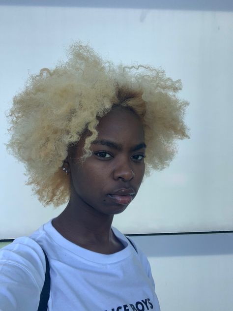 Platinum Natural Hair, Platinum Blonde Hair Natural, Honey Blonde 4c Hair, Blonde 4c Hair, Dyed Afro, Blonde Afro, Natural Hair Short Cuts, Creative Hair Color, Quick Natural Hair Styles