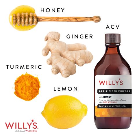 An easy and delicious way to get your daily dose is to make a morning detox tonic. You will need the following ingredients: warm water, Willy's Apple Cider Vinegar with the Mother (original or honey flavour), lemon, ginger, turmeric and honey. This drink has great anti-inflammatory properties.  #applecidervinegar #anti-inflammatory #immunity #wellness #dailydose #dailydoseofwellness #willysacv #acv #health #detox #lemon #ginger #lemontea #acvtea #detoxtea #cleanse #ibs #inflammation #arthritis Apple Cider Vinegar Tumeric Ginger Lemon, Acv Ginger Lemon Drink, Probiotic Shots, Lemon Ginger Turmeric, Shots Drinks, Apple Cider Vinegar Health, Liver Cleanse Diet, Make Apple Cider Vinegar, Turmeric Drink