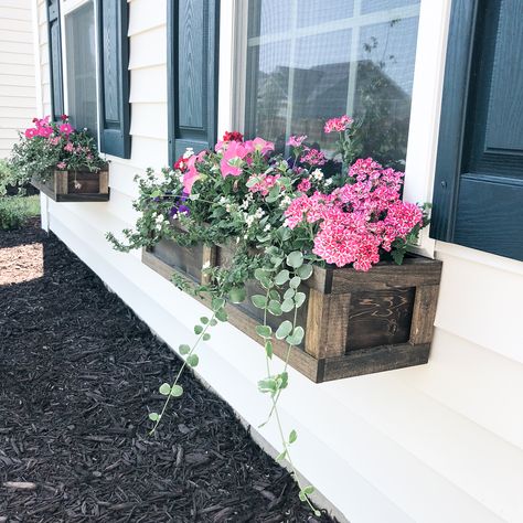 Full and Colorful Summer Window Boxes (Full Sun) | Today I'm sharing exactly what and how I planted our window box planters for the summer in case you want to do the same. I’m so excited to be able to switch these out with the seasons! Can you imagine some mums in there for the fall?! Ah…That’s going to bring me so much joy. Summer Window Boxes, Summer Planter Ideas, Driveway Border, Fall Window Boxes, Summer Planter, Summer Window, Window Box Flowers, Window Planters, Morning Morning