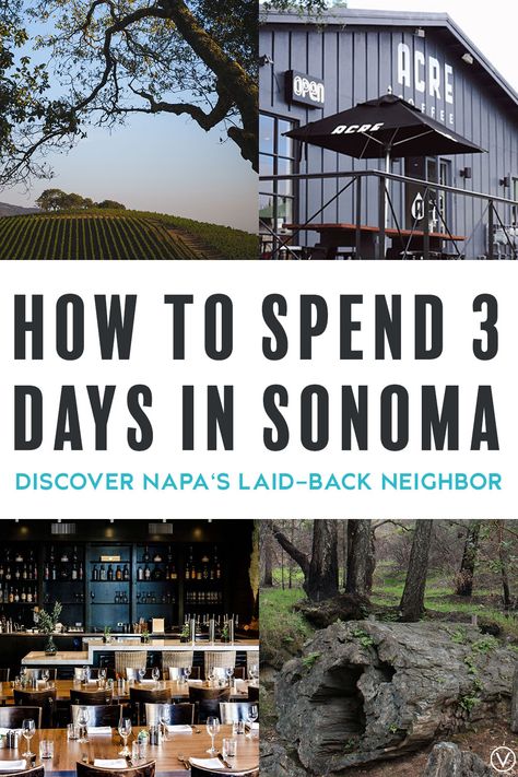 Best Vineyards In Sonoma, Napa Valley Vs Sonoma, Sonoma Valley Itinerary, What To Wear In Sonoma Wine Country, Sonoma Weekend Trip, Sonoma California Wineries, California Wine Country Vacation, Sonoma Wine Tours, Napa Valley Vacation