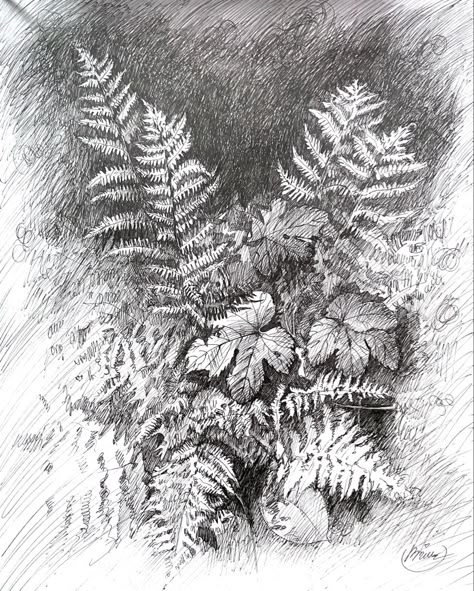 Plant Pen Drawing, Brown Paper Drawing Sketches, Fern Sketch, Forest Drawings, Nature Drawings, Spark Art, Basic Sketching, Plant Sketches, Forest Drawing