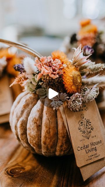 Jess Buttermore | Flowers • Herbs • Craft on Instagram: "These eco-friendly dried botanical pumpkins are a lovely way to mark the season and honor your teachers, neighbors, friends, and other special people in your life at the same time. I made these using dried botanicals from my garden and small black futsu decorative pumpkins to decorate our teachers’s desks and included a gift card so they could treat themselves at our favorite local coffee shop @aromacoffee. Here’s how I made them:  Materials: 🤎 dried botanicals 🤎 small decorative pumpkins 🤎 twine or raffia ribbon 🤎 gift tag 🤎 gift card to your favorite local coffee shop   Supplies: 🤎 hole punch 🤎 scissors 🤎 glue gun (optional)  To make: 1. Write a message on your gift tag. Punch a hole into the tag and into the gift card enve Dried Floral Pumpkin Arrangement, Dried Floral Pumpkin, Dried Flowers Pumpkin, Pumpkin With Dried Flowers, Dried Flower Pumpkin, Inside Of A Pumpkin, Coffee Shop Supplies, Thanksgiving Flower Arrangements, Decorative Pumpkins