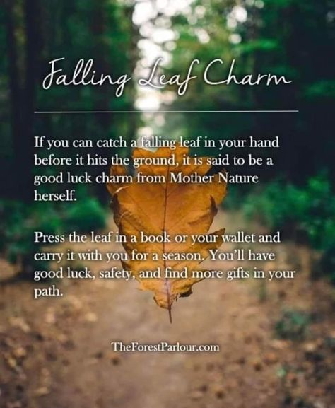 Ritual Spells, Falling Leaf, Fall Scrapbook Layouts, Samhain Halloween, Spooky Witch, Witch Spirituality, Elemental Magic, Etiquette And Manners, Spiritual Journals