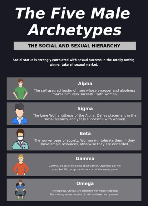 File:The Five Male Archetypes.svg - WikiMANNia Alpha Male Characteristics, Male Archetypes, Alpha Male Quotes, Alpha Male Traits, Personality Archetypes, Sigma Male, Flirting Body Language, Personality Quiz, Men Quotes