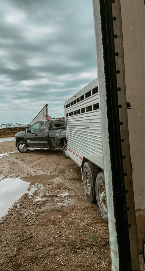 Western Truck Aesthetic, Farm Truck Aesthetic, Cattle Farm Aesthetic, Chevy Trucks Aesthetic, White Truck Aesthetic, Country Athestic, Country Truck Aesthetic, Truck Wallpaper Iphone, Punchy Wallpaper