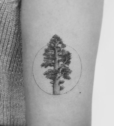 Redwood Tree Tattoo, Tree Line Tattoo, Redwood Tattoo, Tree Tattoo Ideas, Hongdae Seoul, Wood Tattoo, California Tattoo, Minimal Tattoos, Tree Tattoos