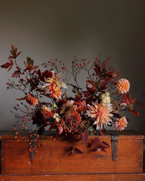 2,741 Likes, 51 Comments - Christin Geall - Cultivated (@cultivatedbychristin) on Instagram: “Happy thanksgiving from Vermont. My mother in-law had ‘the bird’ on the counter by nine. By ten,…” Thanksgiving Pumpkin Flower Arrangements, Dark Fall Floral Arrangements, Wedding Fair Florist Display, Thanksgiving Table Floral Arrangements, Thanksgiving Floral Tablescape, Thanksgiving Flowers Arrangements, Thanksgiving Arrangements Floral, Brown Flower Arrangements, Thanksgiving Floral Centerpieces