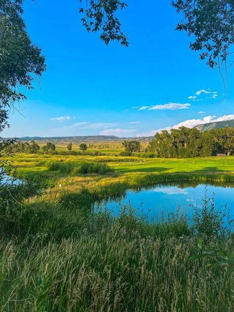 Large Field Landscaping Ideas, Windclan Camp, Grassy Field Aesthetic, Hallway Painting, Farm Ponds, Grassy Plains, Wc Oc, Bird Day, Calming Images