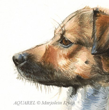 close-up aquarel techniek: kortharige hondenvacht Watercolor Inspiration, Watercolor Animals, Dog Art, Painting Inspiration, Watercolor Painting, Watercolor Art, Ups, Close Up, Watercolor Paintings