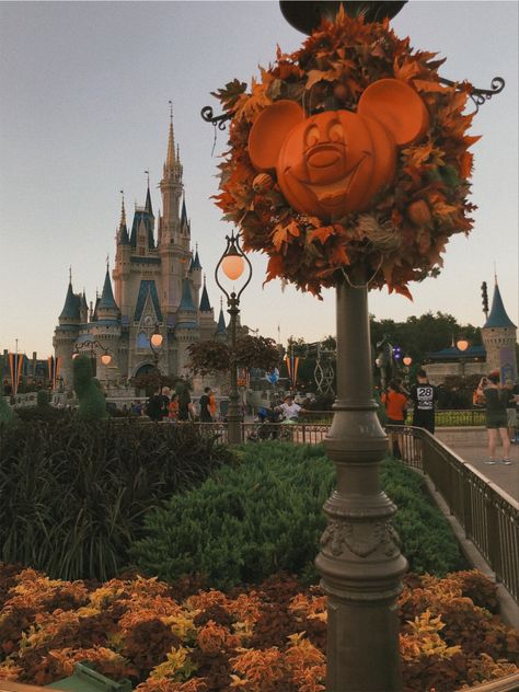 Fall In Disney World, Disney Aesthetic Halloween, Disney Halloween Astethic, Fall Disney Wallpaper Iphone, Disneyworld Halloween Aesthetic, Disney Halloween Lockscreen, Disneyland During Halloween, Disney Halloween Phone Wallpaper, Disney World Halloween Wallpaper