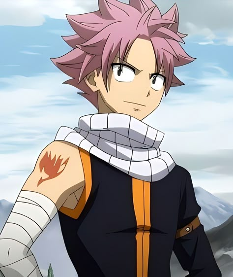 Fairy Tail Anime Natsu, Fairy Tail Meme, Fairy Tail Photos, Fairy Tail Family, Natsu Fairy Tail, Fairy Tail Images, Natsu X Lucy, Fairy Tail Pictures, Fariy Tail