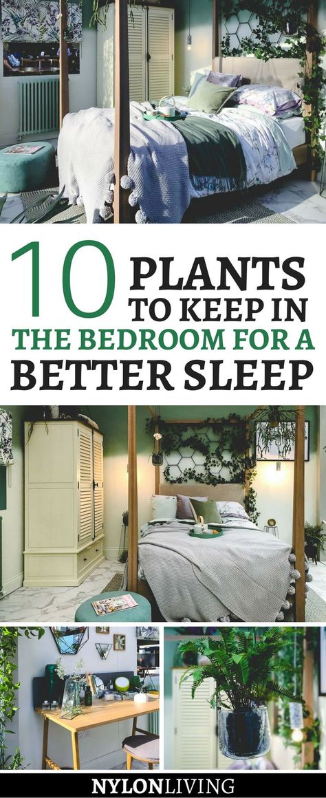 Keeping plants in your bedroom actually improves your sleep. Check out these decor ideas for a plant lover's bedroom. Bedroom Plants Decor, Simple Bed Designs, Spring Decoration, Bedroom Plants, Trendy Bedroom, Trendy Home, Window Design, The Bedroom, Apartment Interior