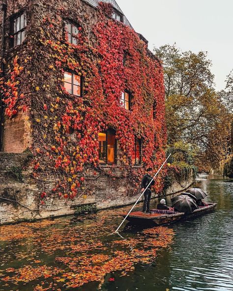 Travel + Leisure on Instagram: “A punting tour through the heart of Cambridge in the last vestiges of autumn? Don't mind if we do! 📷@polabur” London Vacation, Abroad Travel, Traveling Abroad, Instagram Inspo, Travel And Leisure, Travel Insurance, Vintage Images, Cambridge, Places To Travel