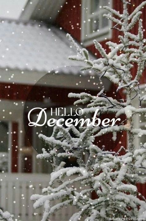 Monthly Greetings, Monthly Wallpapers, Hello April, December Christmas, I Love Snow, Winter Szenen, Hello December, I Love Winter, Winter Love