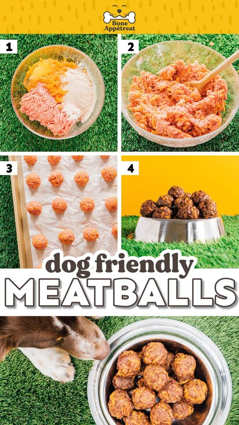 Chicken Meatballs For Dogs, Meatballs For Dogs Recipes, Dog Meatballs Food Recipes, Dog Protein Balls, Ground Turkey Dog Treats, Turkey Meatballs For Dogs, Pork Dog Food Recipes, Toppl Dog Recipes, Dog Meatballs