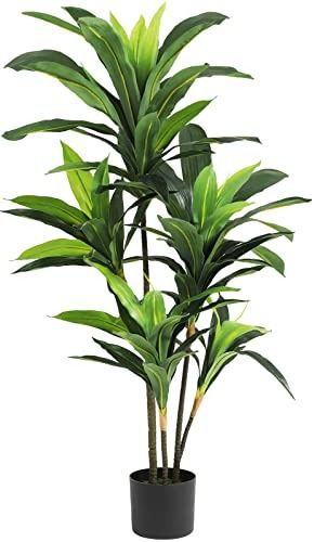 Amazon.com: VIAGDO Dracaena Silk Plant Artificial 5ft Faux House Plants Evergreen Dracaena Marginata Fake Yucca Palm Trees in Pot Realistic Dragon Tree for Living Room Home Office Decor Indoor Outdoor : Home & Kitchen Tree For Living Room, Tall Fake Plants, Dracaena Marginata, Realistic Dragon, Dracaena Plant, Dragon Tree, Fake Trees, Indoor Trees, Living Room Home Office