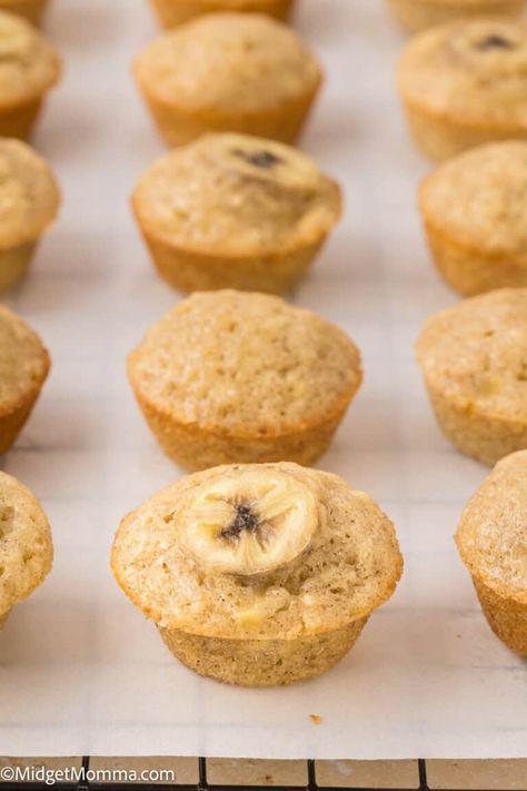 Mini banana muffins are a household favorite. If you love banana bread then you are going to love this easy to make mini banana muffin recipe. Loaded with the taste of banana, and the option to add nuts or chocolate chips, this mini muffin recipe is perfect for kids and adults. Banana Mini Muffins, Mini Muffin Recipe, Mini Banana Muffins, Banana Muffins Recipe, Banana Buttermilk, Banana Blueberry Muffins, Banana Muffin, Mini Bananas, Banana Muffin Recipe