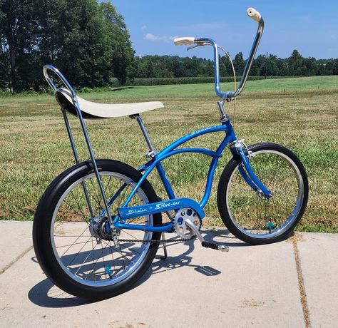 Schwinn Stingray, Raleigh Bikes, Bike Toy, Door Slam, Push Bikes, Custom Bicycle, Vintage Bikes, Screen Door, Lowrider