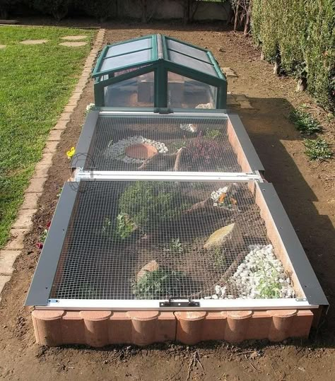 EXEMPLES ENCLOS POUR BEBES OU JUVENILES                                                                                                                                                                                 More Tartaruga Habitat, Tortoise Run, Tortoise Terrarium, Tortoise Home, Outdoor Tortoise Enclosure, Hermann Tortoise, Turtle Enclosure, Turtle Care, Turtle Homes