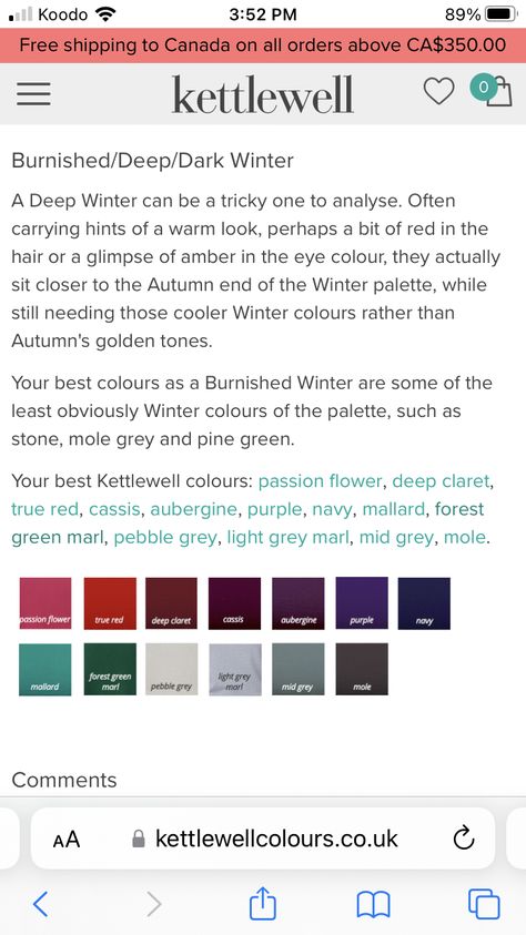 Toasted Soft Deep Winter, Burnished Winter House Of Colour, Burnished Winter Palette, Winter House Of Colour, Burnished Winter, Seasonal Analysis, Season Palette, House Of Colour, Deep Winter Palette