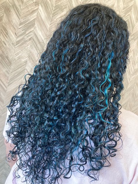 Curly Blue Highlights, Curly Hair With Blue Highlights, Blue Highlights Curly Hair, Blue Tips Hair, Blue Balayage, Black Hair Curls, 3c Curly Hair, Curly Highlights, Blue Hair Highlights