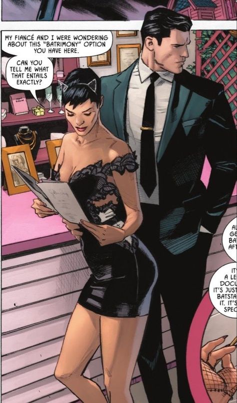 Bruce And Selina, Catwoman Comic, Univers Dc, Batman And Catwoman, Selina Kyle, Batman Comic Art, Dc Comics Artwork, Dc Comics Characters, Batman Family