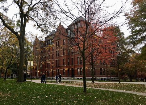 Harvard In The Fall, Harvard Fall Aesthetic, Harvard University Campus Aesthetic, Dream University Aesthetic, Autumn University Aesthetic, Fall University Aesthetic, Harvard Law School Aesthetic, University Aesthetic Campus, University Campus Aesthetic