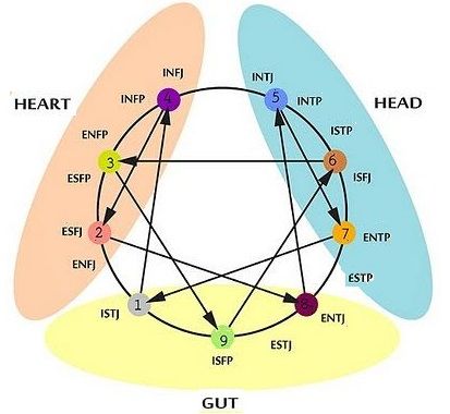 Enneagram meets MBTI Instinctual Variants, Personalidad Infj, Meyers Briggs, Intj And Infj, Enneagram 4, Personality Profile, Personality Psychology, Myers Briggs Personality Types, Myers–briggs Type Indicator