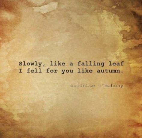 Slowly, like a falling leaf, I fell for you like autumn. ~ Collette O'Mahony Falling Slowly Quotes, Slowly Falling In Love Quotes, Falling In Love Aethstetic, Hopeless Love Quotes, Love Journey Quotes, Slowly Falling In Love, Quotes Clouds, Falling For You Quotes, Leaf Quotes