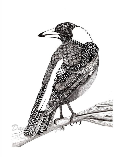 Pattern Art Drawing, Zentangle Doodle Art, Bird Line Drawing, Australian Magpie, Drawing Zentangle, Magpie Art, Zentangle Doodle, Black And White Birds, Australian Birds