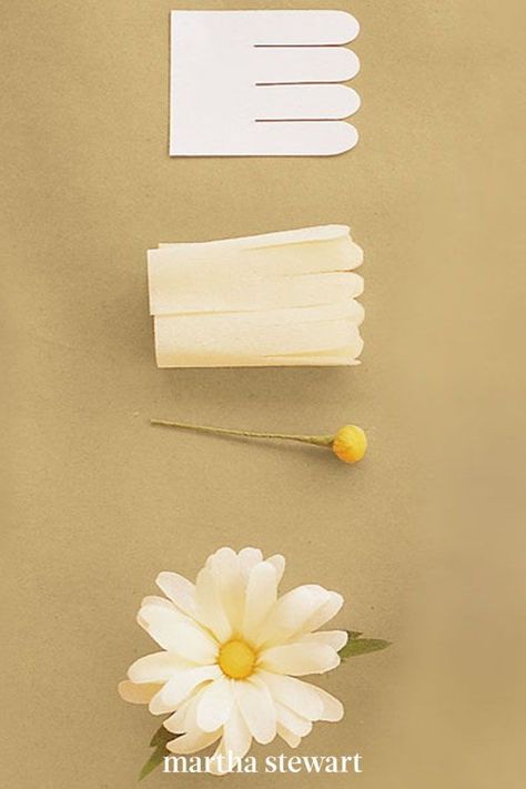 White Crepe Paper Flowers, Săpunuri Handmade, How To Make Crepe, Daisy Daisy, Diy Flores, Paper Daisy, Mexican Flowers, Flowers Tutorial, Flower Craft