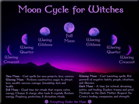 Moon Spells, Moon Cycle, Spell Cast, Magick Spells, Moon Witch, Moon Cycles, Wiccan Spells, Witchy Stuff, Witchy Things