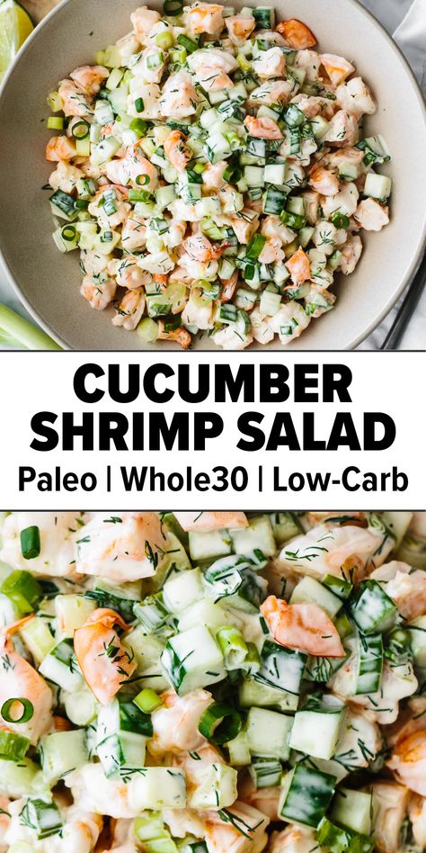 Cucumber shrimp salad recipe Mini Shrimp Salad, Cucumber Shrimp Salad Downshiftology, Shrimp Dill Salad, Cucumber Salad With Protein, Shrimp Cucumber Dill Salad, Healthy Lunch Ideas With Shrimp, Healthy Recipes Seafood, Cucumber And Shrimp Salad, Shrimp And Cucumber Recipes