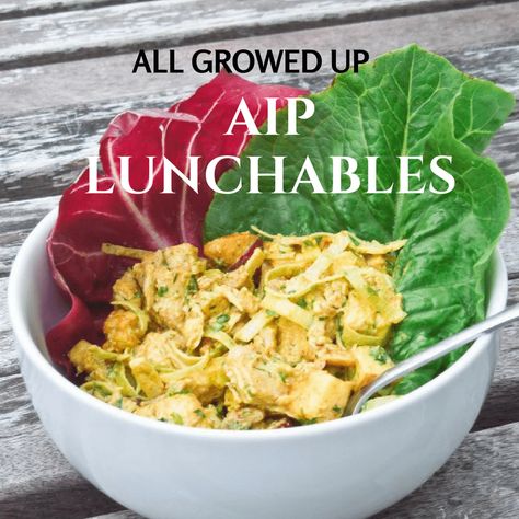 25 Easy AIP Lunch Ideas (Brown-bag Approved) | Meet Dr. Lauryn Aip Lunch Ideas, Aip Lunch, Easy Cauliflower Soup, Inflammatory Meals, Carrot And Coriander Soup, Chicken Salad Sandwiches, Turmeric Chicken, Whole 30 Lunch, Roasted Cauliflower Soup