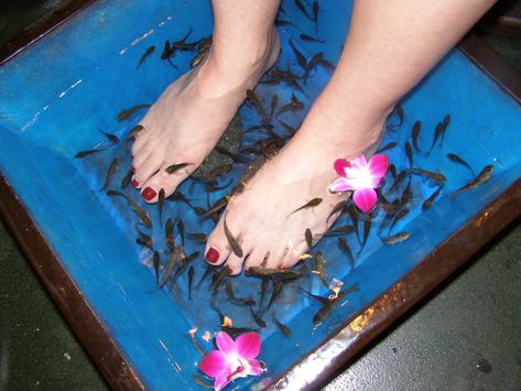 Fish Pedicure, Pedicure Procedure, Nail Falling Off, Infinity Nails, French Pedicure, Skin Growths, Pedicure Designs, Pedicures, Pedicure Nails