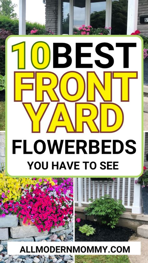 Flourishing Frontage: Transforming Your Home with Flower Bed Ideas Easy Flower Beds In Front Of House, Flower Bed Ideas In Front Of House, Flower Beds In Front Of House, Annual Flower Beds, Diy Backyard Decor, Budget Flowers, Garden Front Of House, Front Flower Beds, Petunia Flower