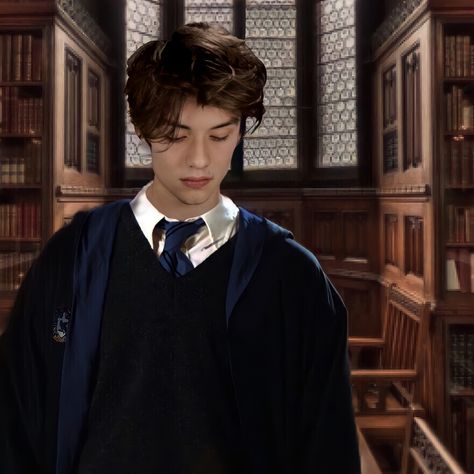 Ravenclaw Boy Aesthetic, Ravenclaw Boys, Ravenclaw Uniform, Hogwarts Uniform, Random Person, Hogwarts Dr, Ravenclaw Aesthetic, Louis Partridge, Black Family