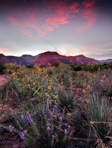 Texas Road Trips, Caprock Canyon State Park, Texas Sunset, Texas Destinations, Photos Black And White, Texas Roadtrip, Texas Parks, Texas Photo, Landscape Photography Tips