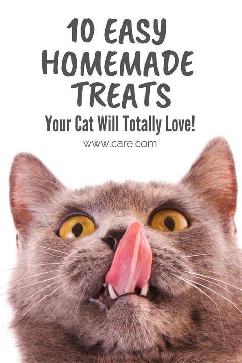 Diy Lickable Cat Treat, Homemade Treats For Cats, Cat Treats Homemade Easy, Cat Treats Recipes, Organic Cat Treats, Homemade Cat Treats, Homemade Cat Treats Recipes, Diy Cat Treats, Kitty Treats