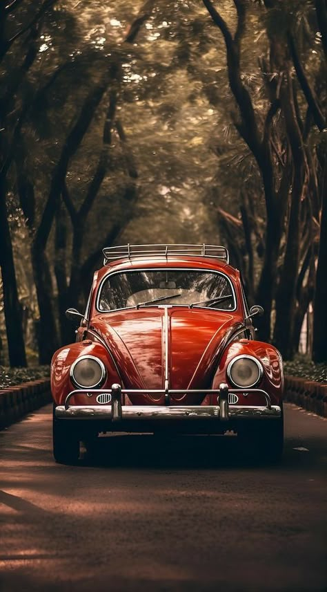 Carros Aesthetic Vintage, Vw Beetle Wallpaper, Volkswagen Beetle Wallpaper, Classic Cars Wallpaper, Volkswagen Beetle Vintage, Vw Sedan, Color Splash Photography, Beetle Car, Vintage Volkswagen