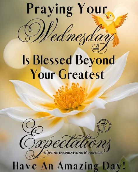 Blessed To See Another Day, Tweety Bird Drawing, Good Morning Wishes Love, Wednesday Morning Greetings, Week Blessings, Wednesday Greetings, Wednesday Blessings, Morning Tuesday, Week Quotes