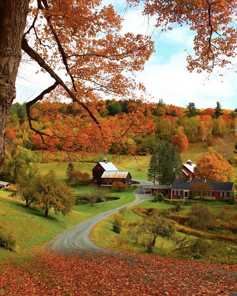 A perfect autumn day in Vermont 🍁 Some of my favorite photos I took of Sleepy Hollow Farm near Woodstock, VT a few years ago 🍂 Follow for more autumn in New England inspiration 🍂 . . . . . 🏷️ #autumnaesthetic #autumn #autumnleaves #autumnvibes #autumnmood #septembervibes #bermonths #autumnweather #september #autumncolors #fallvibes #octobermood #cozyseason #cozycore #cozystyle #cozyaesthetic #trending #fallvibes🍁 #autumnfeels #autumnvibes🍁 #cozyvibes #fallcolors #fallfoliage #cozymood #cozyh... Sleepy Hollow Vermont, Autumn On The Farm, New England Woods, Autumn In New England, New England Fall Aesthetic, Autumn Day Aesthetic, Fall New England, New England Farm, New England Autumn