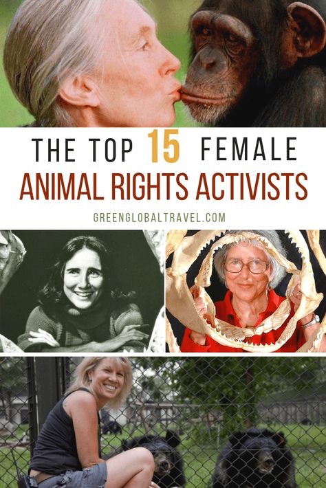 For Women's History Month & International Women's Day, we spotlight 15 Inspirational Women who are Wildlife Conservationists and Animal Rights Activists via @greenglobaltrvl #inspirationalwomen #inspirationalwomeninhistory #inspirationalwomencareer #inspirationalwomenlistof #animalrights #animalrightsactivist #animalrightsactivistpeople #wildlifeconservation #wildlifeconservationanimals #womenshistorymonth #internationalwomensday Animal Volunteer, Vegan Art, Conservation Biology, Save Wildlife, Animal Activist, Women's History Month, Animal Liberation, Animal Rights Activist, Women's History