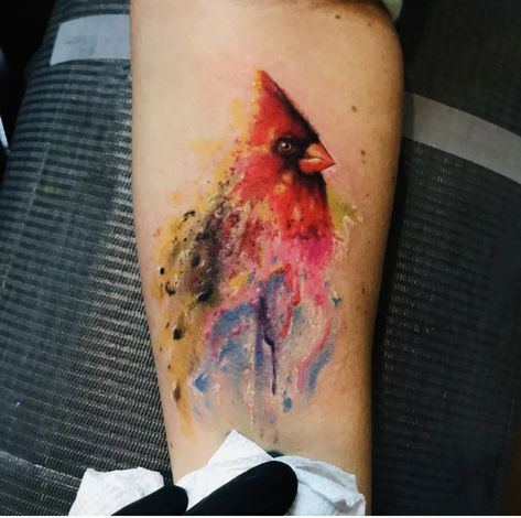 Cardinal Watercolor Tattoo, Cardinal Feather Tattoo, Tattoo Cardinal, Red Cardinal Tattoos, Watercolor Cardinal, Nc Tattoo, Pine Tattoo, Cardinal Tattoo, Watercolor Bird Tattoo