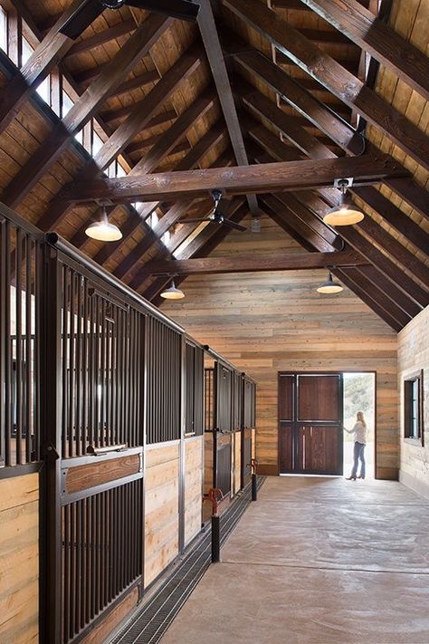 Timber Screen, Stall Bars, Dream Barn Stables, Ceilings Ideas, Equestrian Barns, Equestrian Stables, Moss Photography, Horse Barn Ideas Stables, Barn Stalls